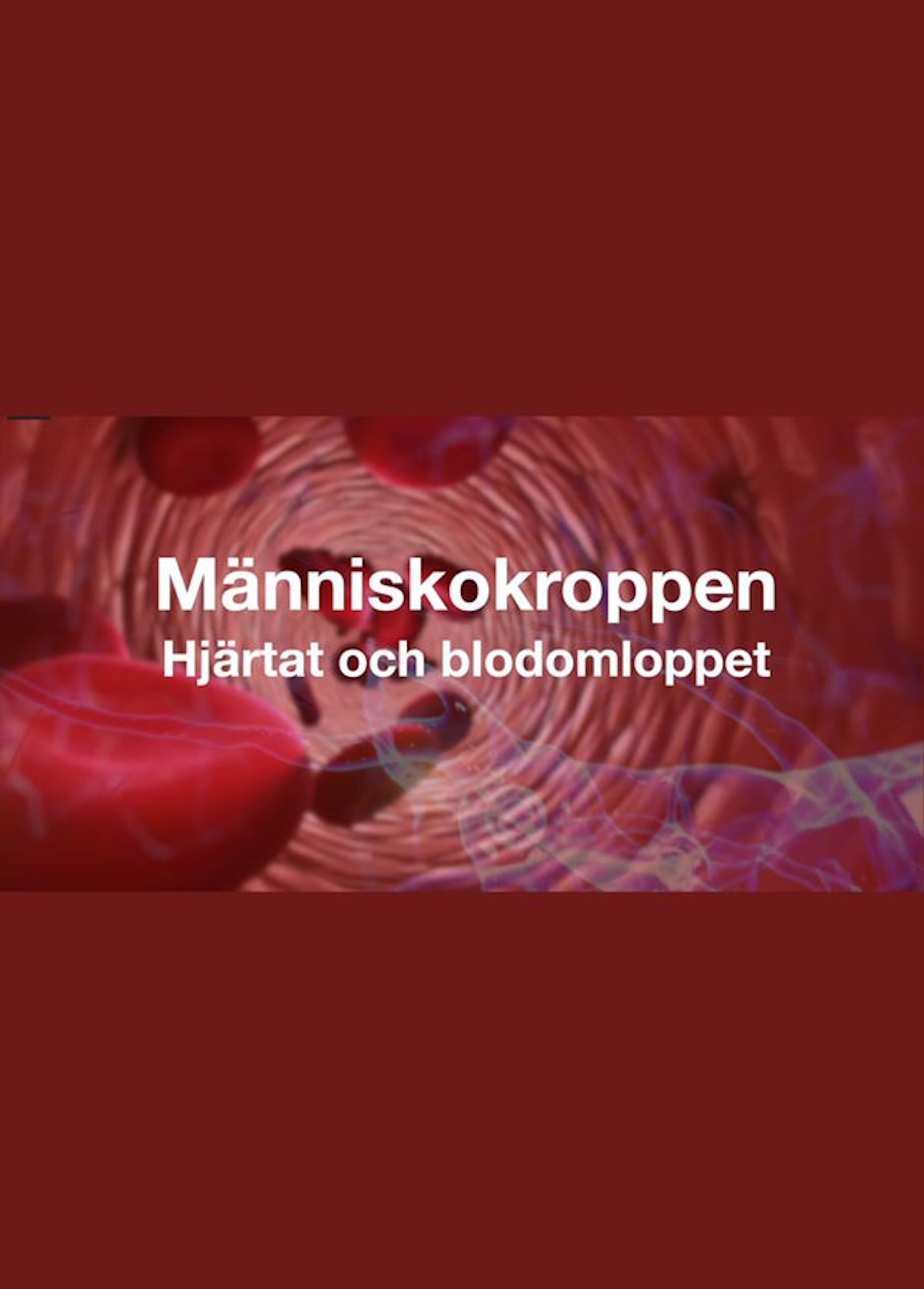 Beskrivende bilde relatert til innholdet i filmen "Menneskekroppen - hjertet og blodsirkulasjonen"