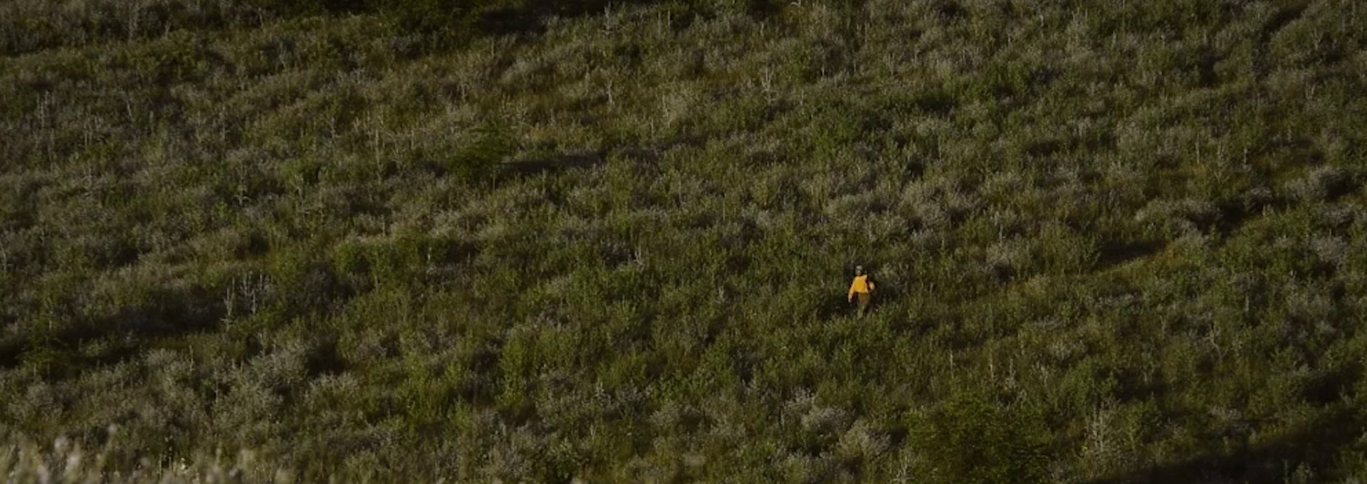 Beskrivende bilde relatert til innholdet i filmen "Honeyland"