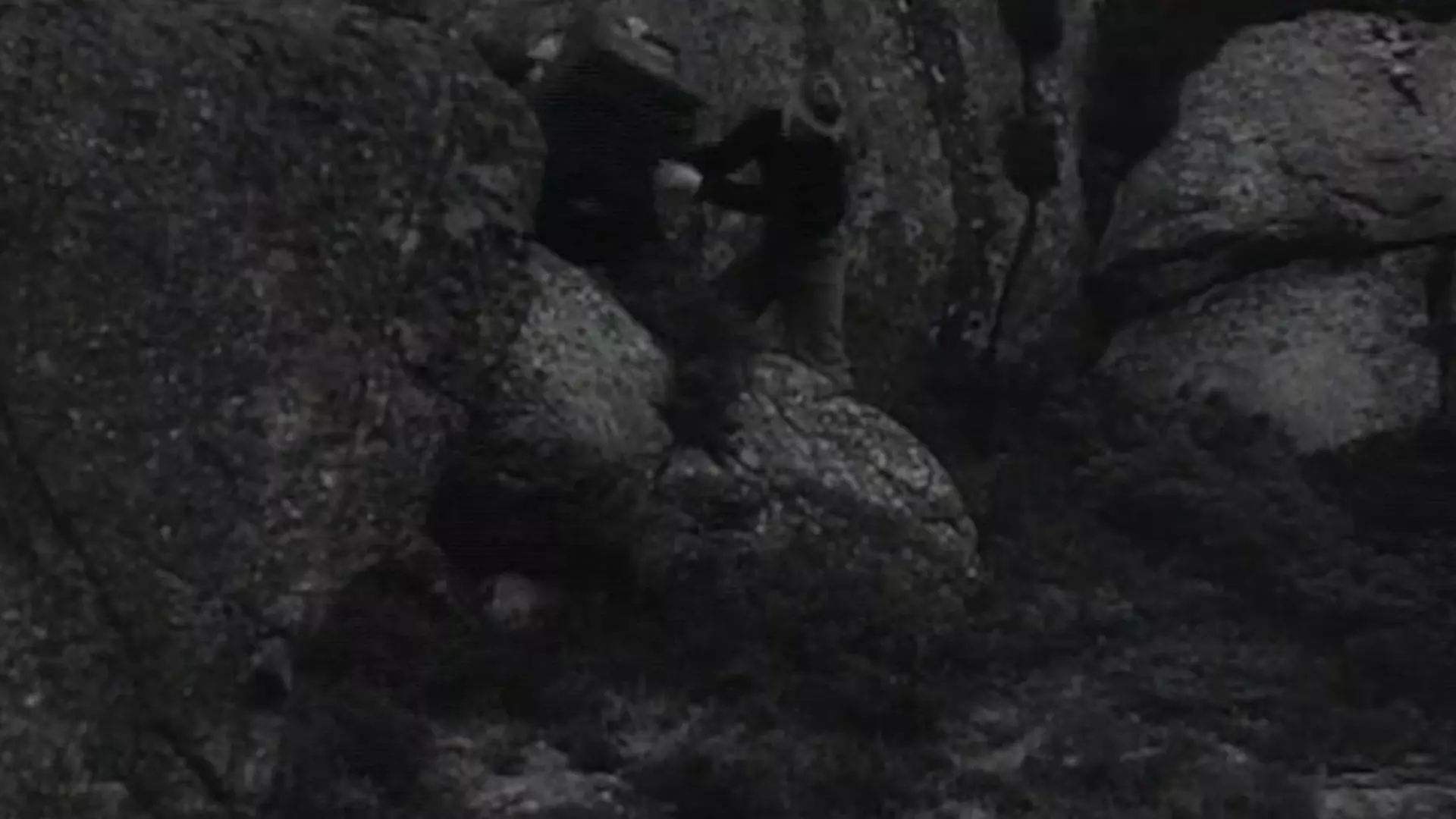 Beskrivende bilde relatert til innholdet i filmen "Shetlandsgjengen"