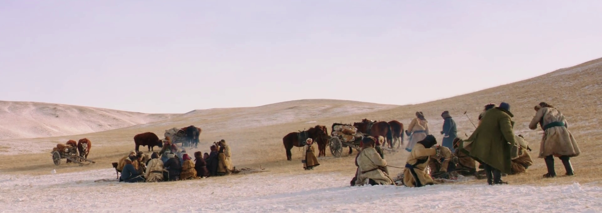 Beskrivende bilde relatert til innholdet i filmen "Wolf Totem"