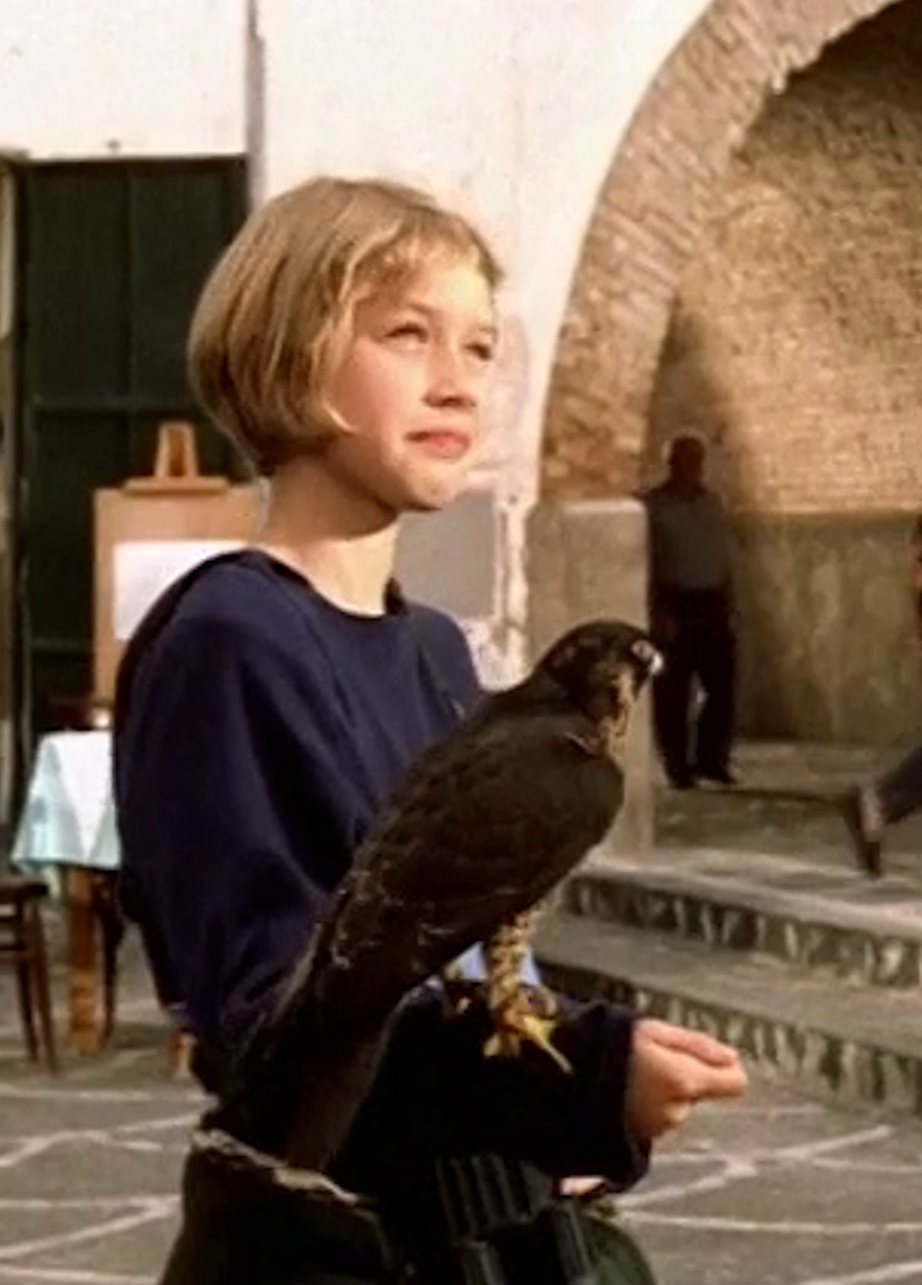 Beskrivende bilde relatert til innholdet i filmen "Falkehjerte"