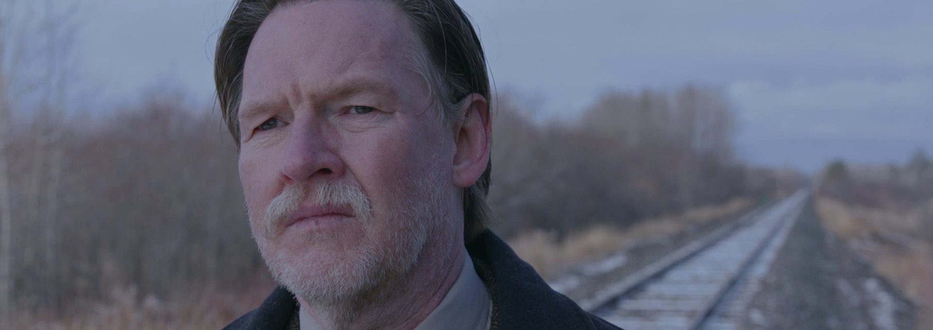 Beskrivende bilde relatert til innholdet i filmen "All My Puny Sorrows"