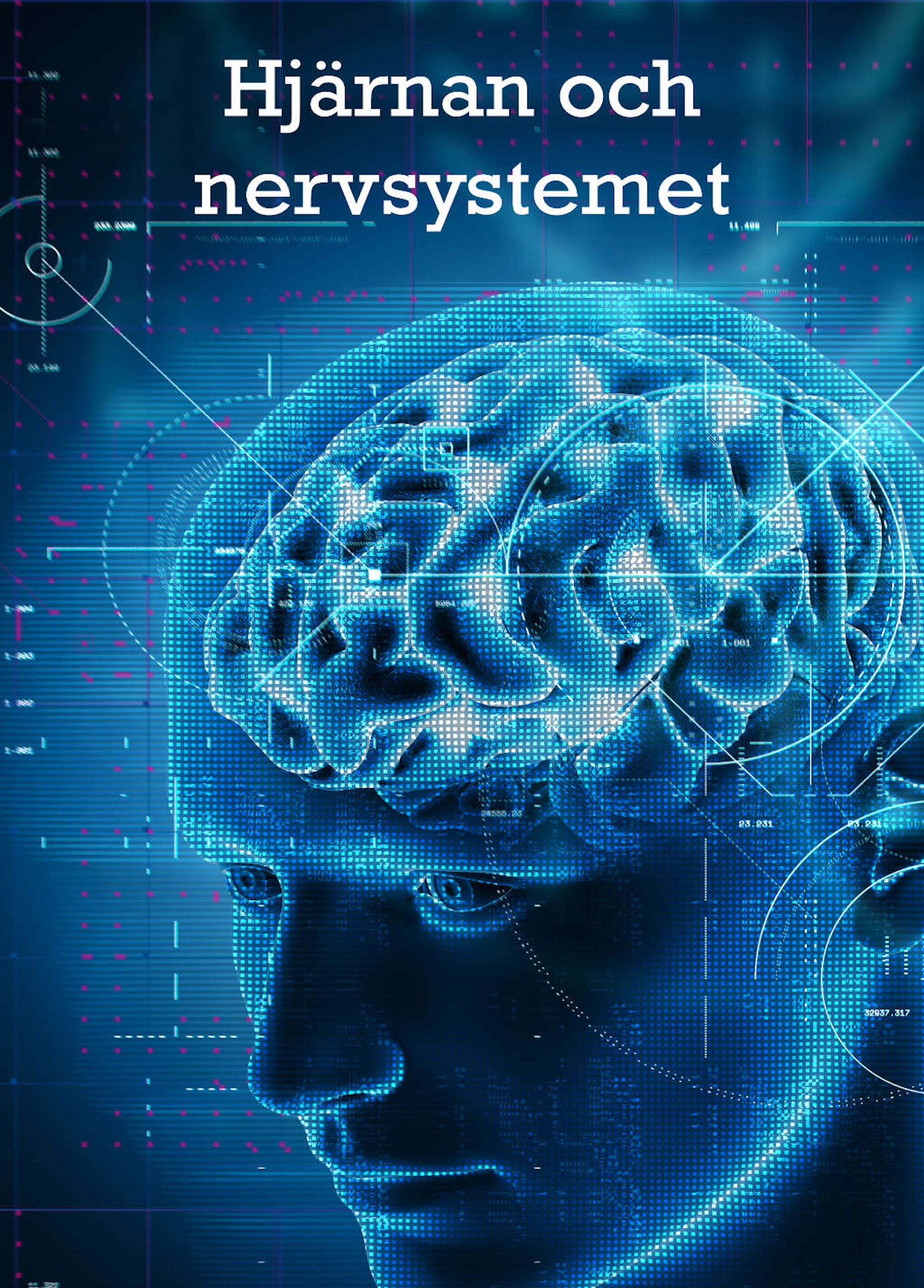 Beskrivende bilde relatert til innholdet i filmen "Menneskekroppen - hjernen og nervesystemet"