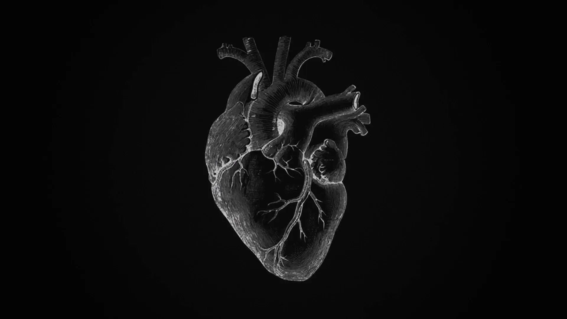 Beskrivende bilde relatert til innholdet i filmen "Science and Blood Tests"