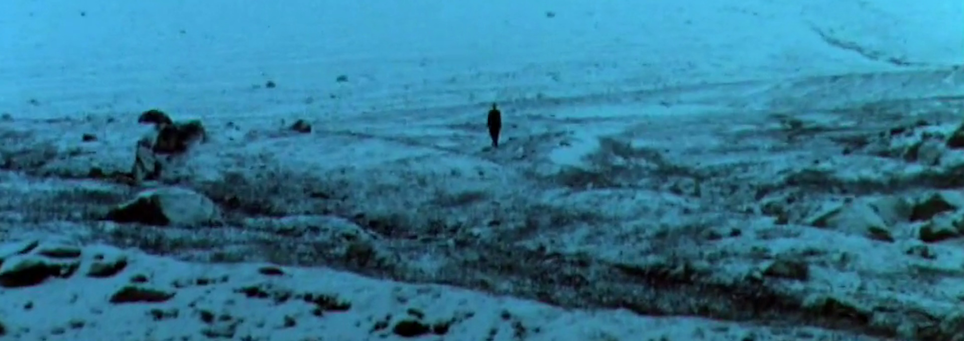 Beskrivende bilde relatert til innholdet i filmen "Rosornas väg"