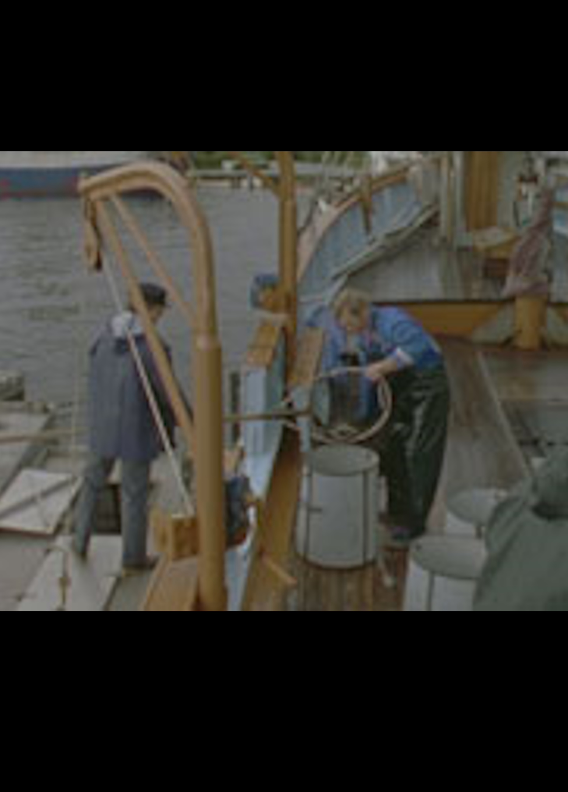 Beskrivende bilde relatert til innholdet i filmen "Ålefiskerne"