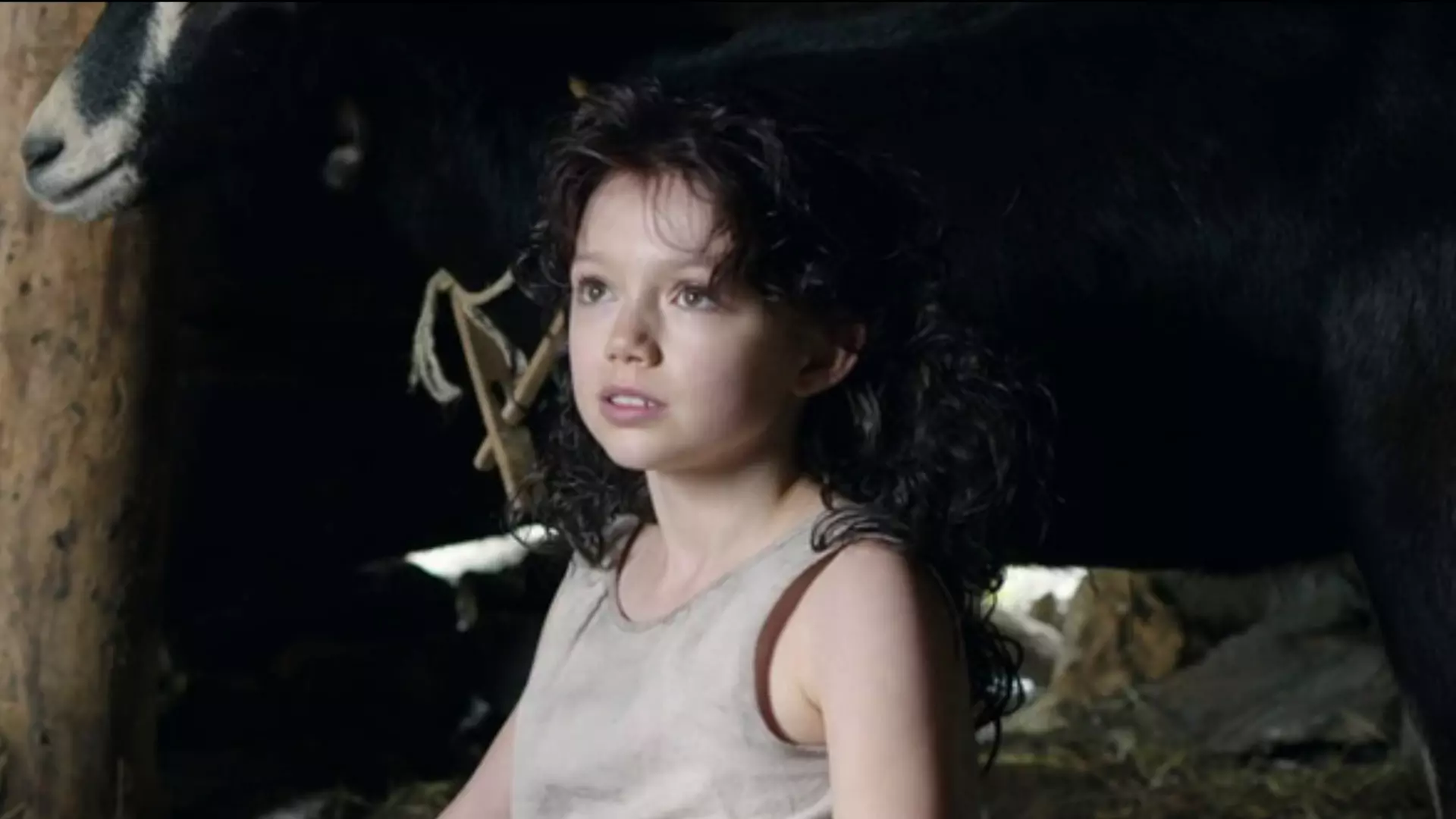 Beskrivende bilde relatert til innholdet i filmen "Heidi"