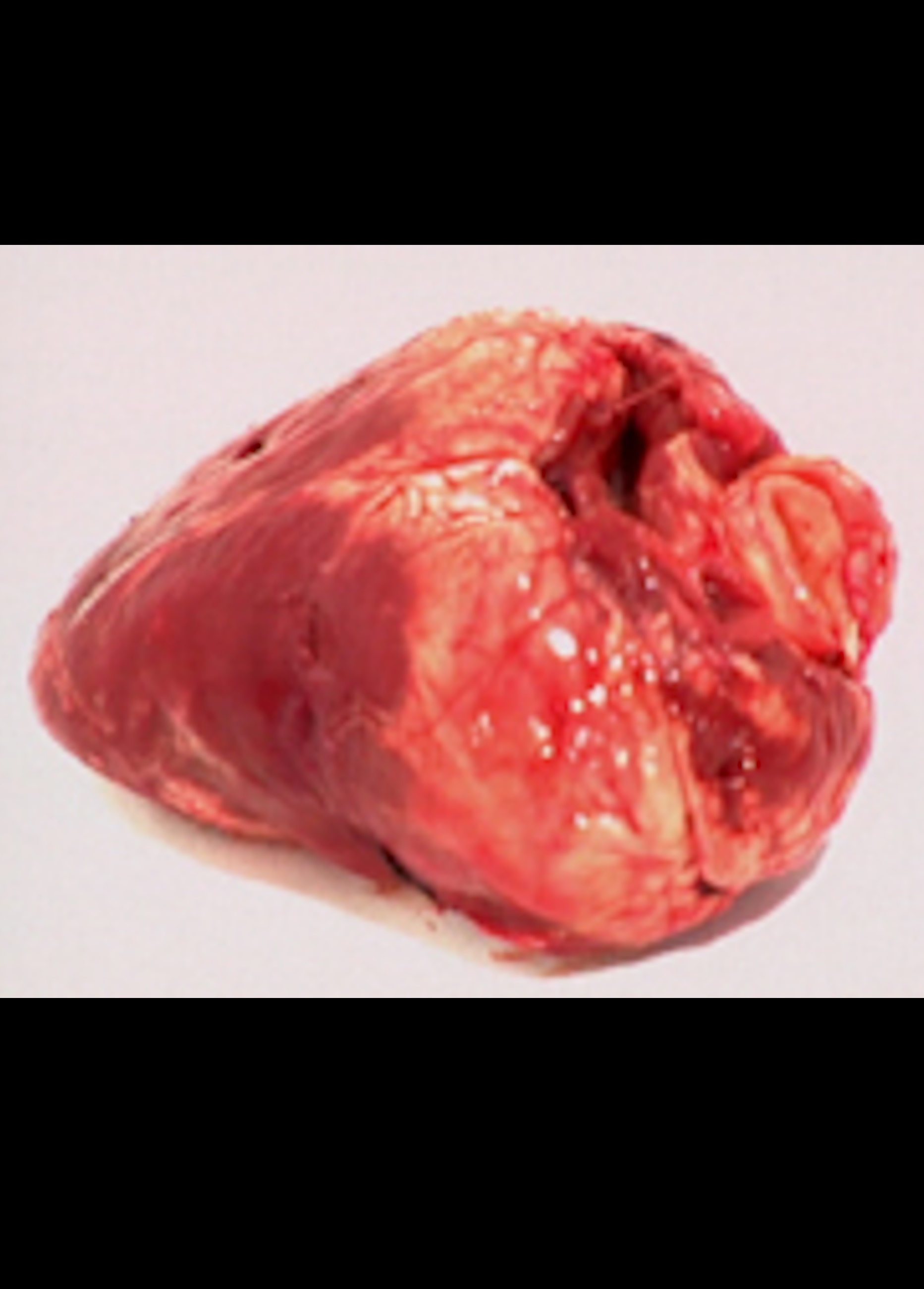 Beskrivende bilde relatert til innholdet i filmen "Breaking a heart"