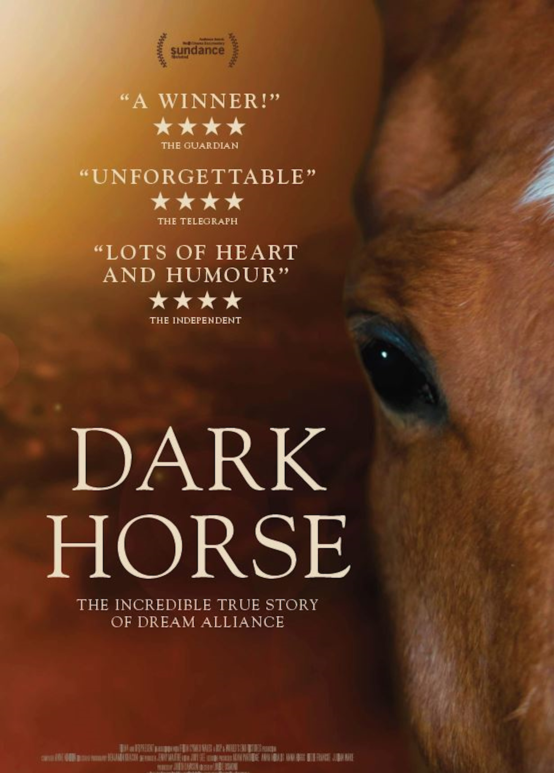 Beskrivende bilde relatert til innholdet i filmen "Dark horse"