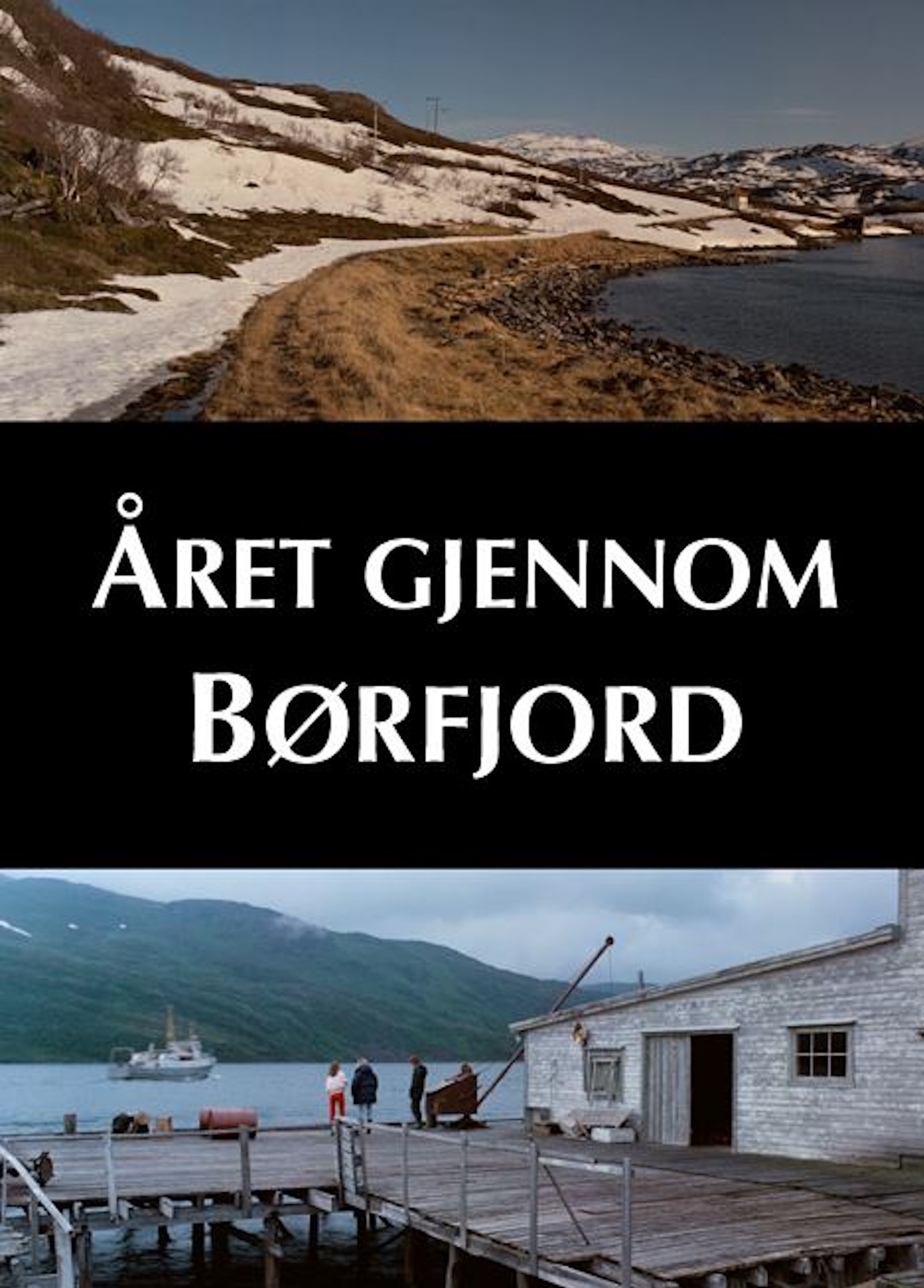 Beskrivende bilde relatert til innholdet i filmen "Året gjennom Børfjord"