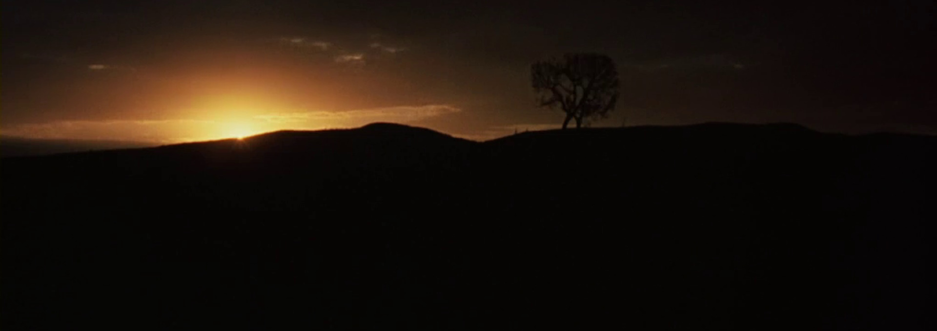 Beskrivende bilde relatert til innholdet i filmen "Walkabout"