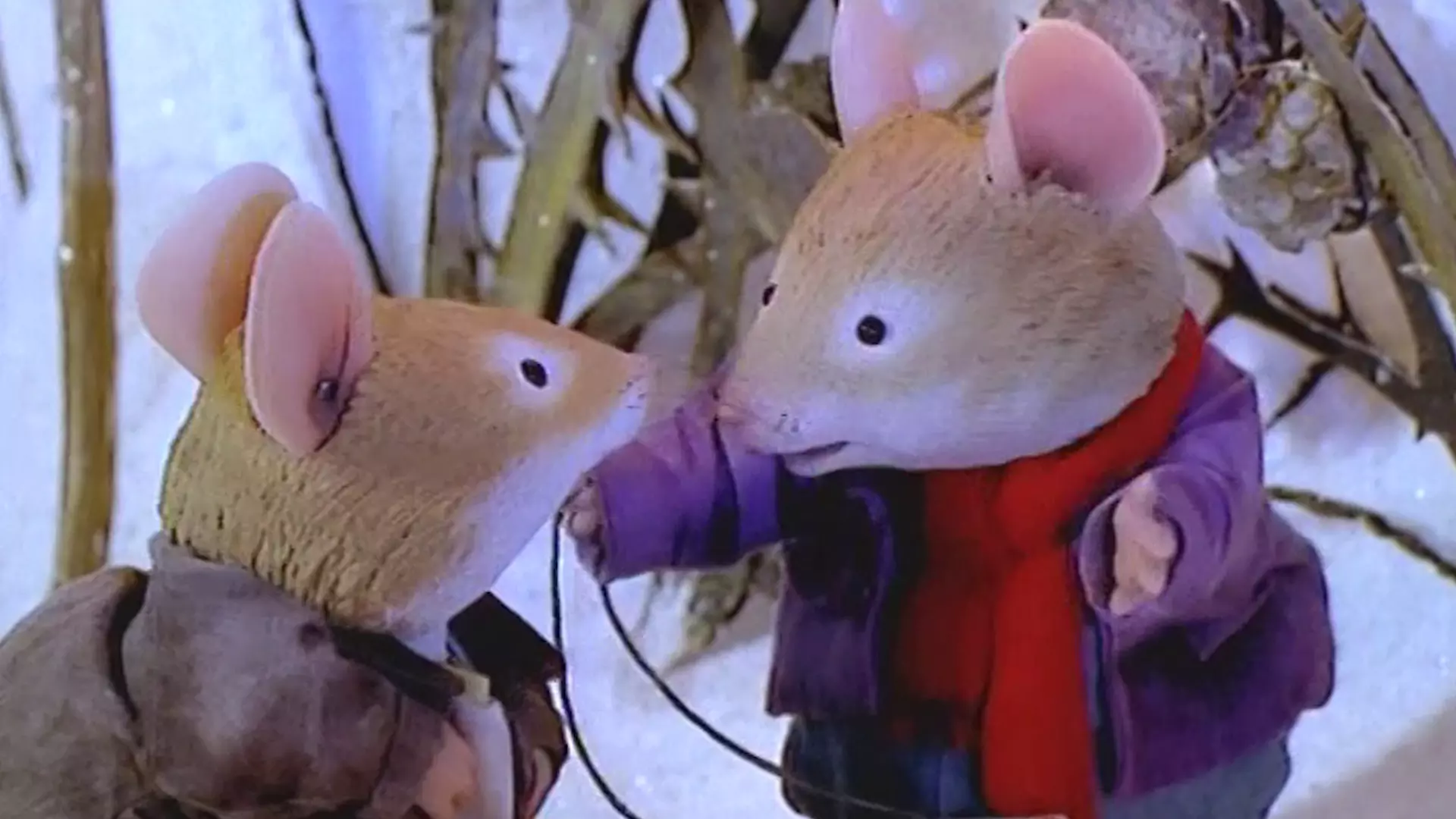 Beskrivende bilde relatert til innholdet i filmen "Tornekrattet - Fire årstider 4"