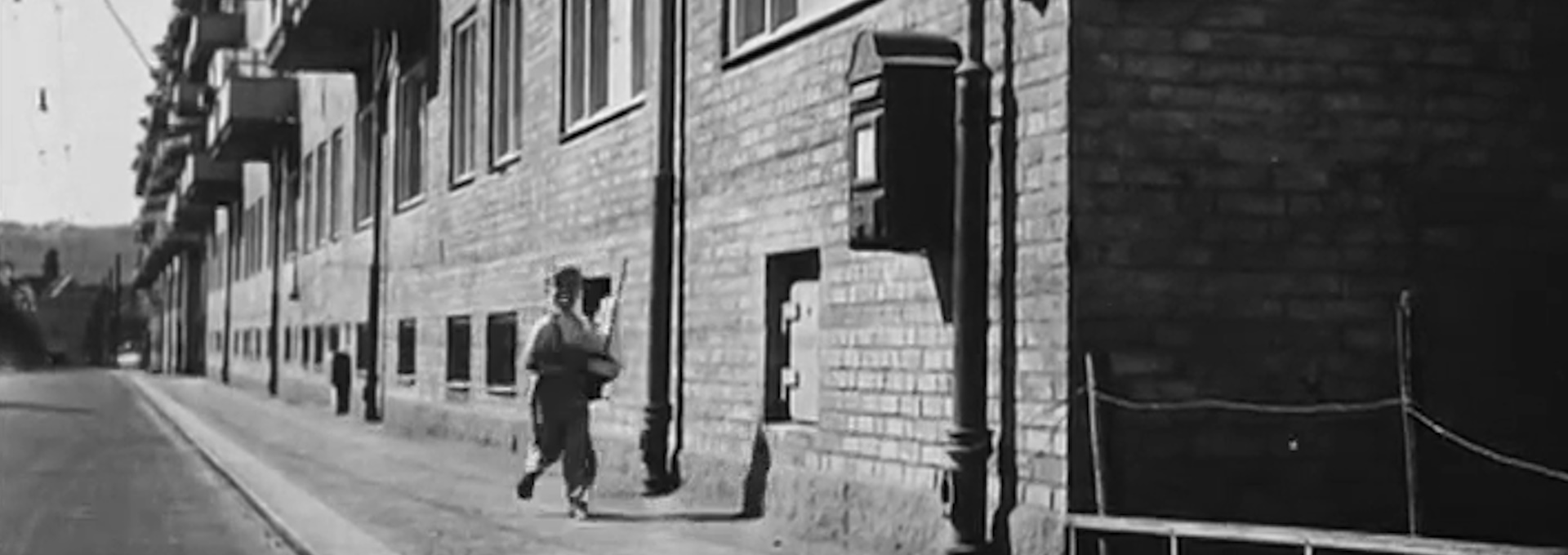 Beskrivende bilde relatert til innholdet i filmen "Det gror mellom steinene"