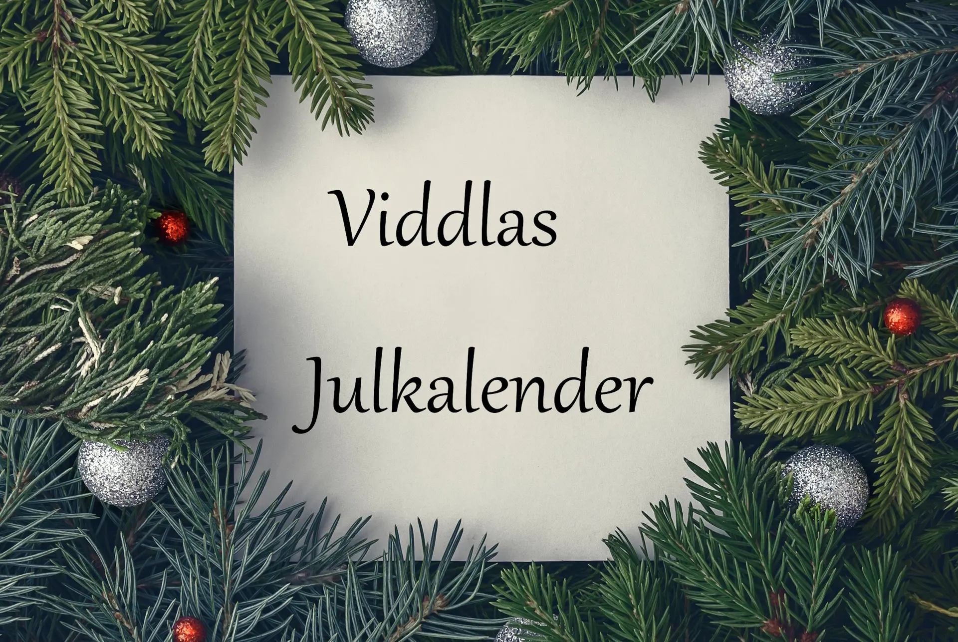 Viddlas Julkalender 2025