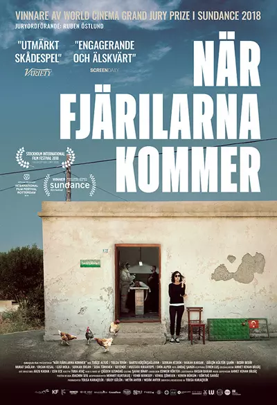 När fjärilarna kommer Poster