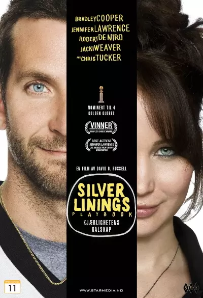 Silver Linings Playbook filmplakat