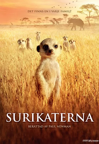 The Meerkats Poster