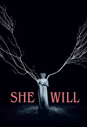 She will filmplakat