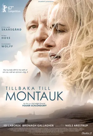Tillbaka till Montauk filmplakat