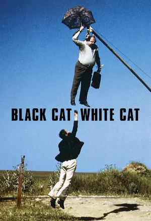 Sort katt, hvit katt filmplakat