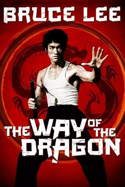 The Way of The Dragon Poster