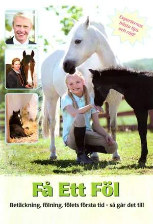 Få ett föl filmplakat