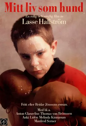 Mitt liv som hund filmplakat