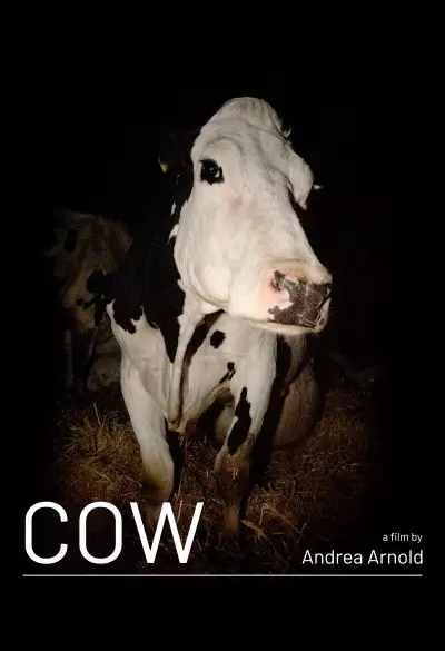 Cow filmplakat
