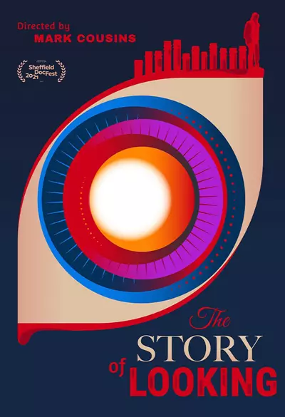 The story of looking Poster