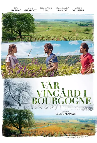Back to Burgundy Poster