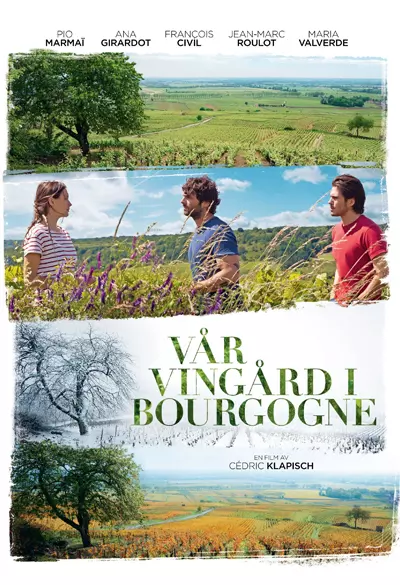 Vår vingård i Bourgogne Poster