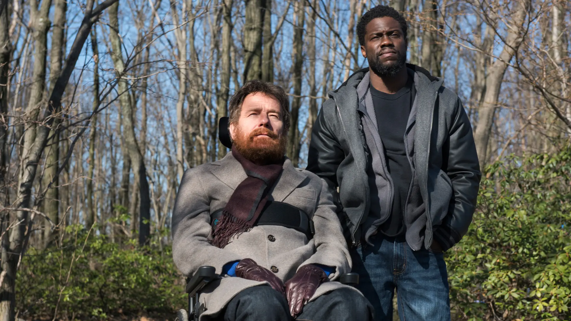 #Torsdagspremiär v. 33