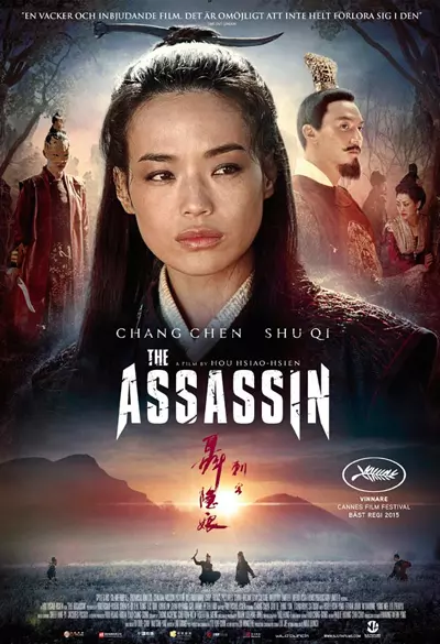 The Assassin Poster