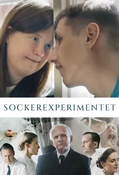 Sockerexperimentet Poster