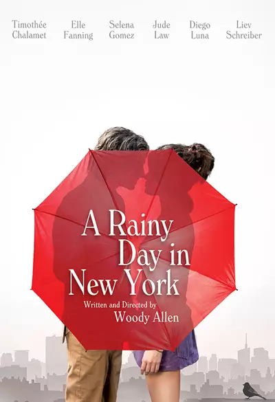 A rainy day in New York Poster