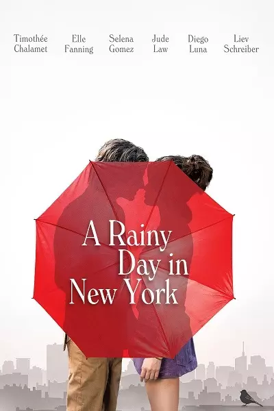 A rainy day in New York Poster
