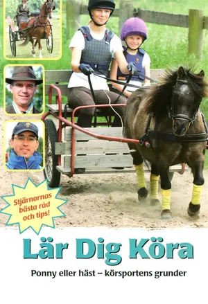 Lär dig köra filmplakat