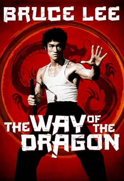 The Way of The Dragon Poster