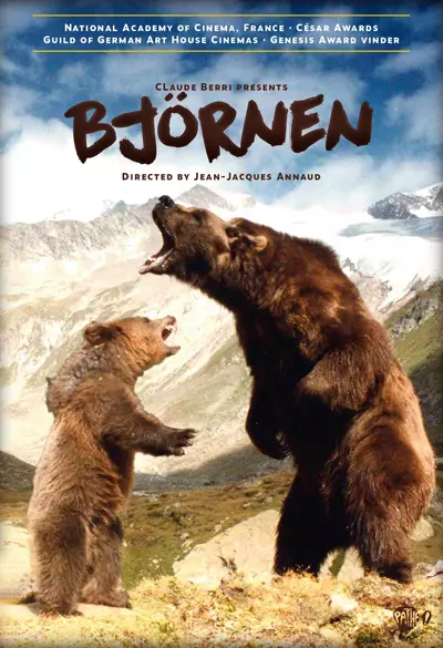 Björnen Poster