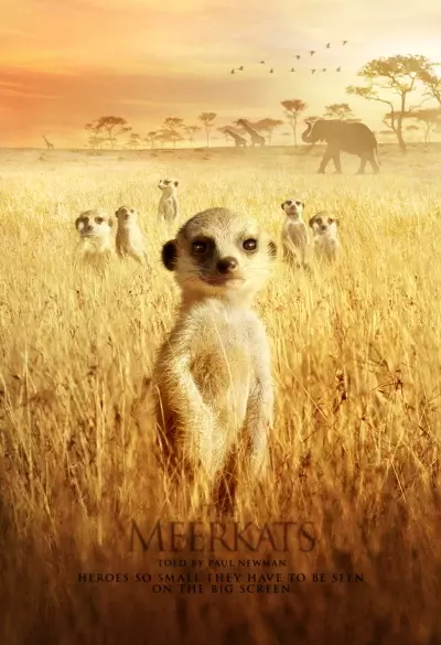 The Meerkats filmplakat