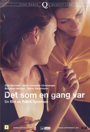 Det som en gang var filmplakat