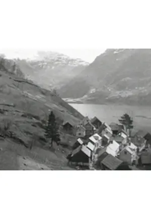 Havretunet filmplakat