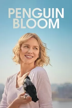 Penguin bloom filmplakat