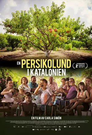 En persikolund i Katalonien filmplakat