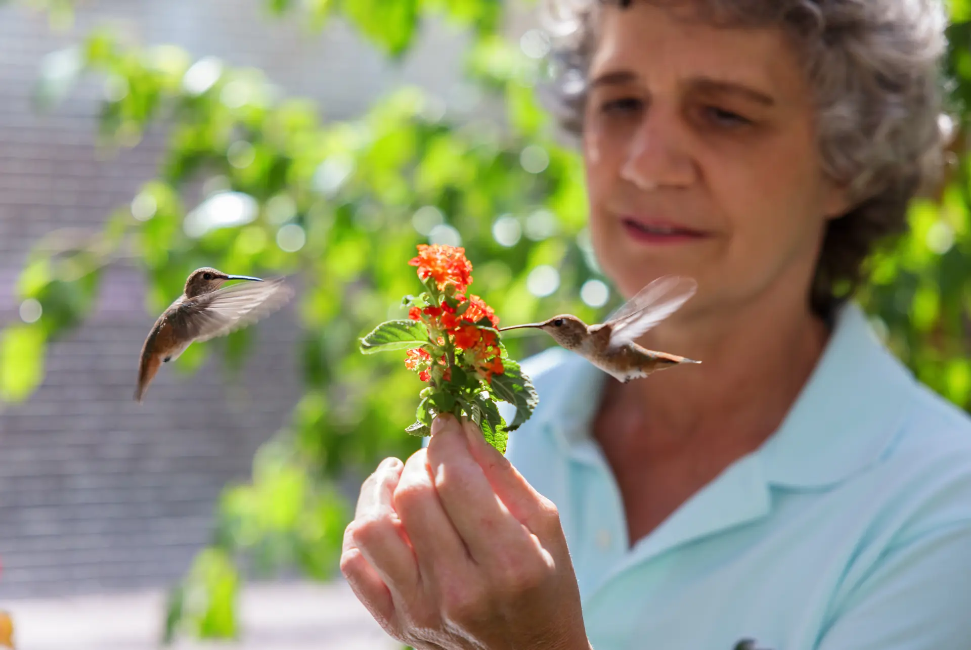 Tilbake til naturen